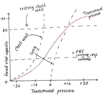 lung compliance