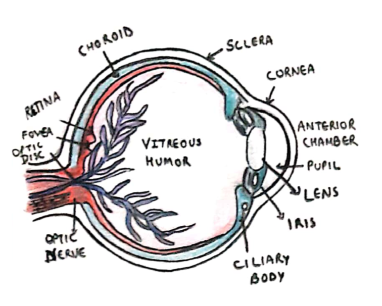 Eye diagram